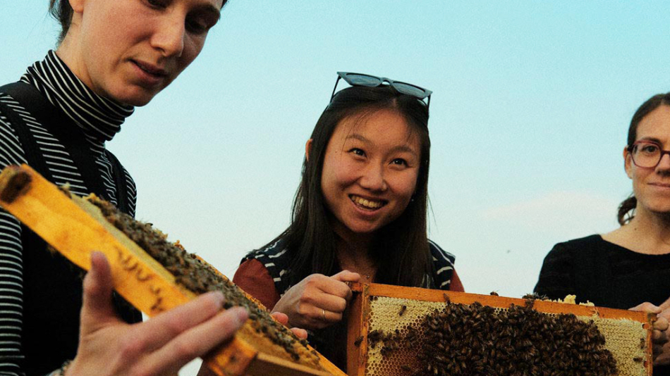 NEUF at the Roundtable: Biodiversity and the Built Environment