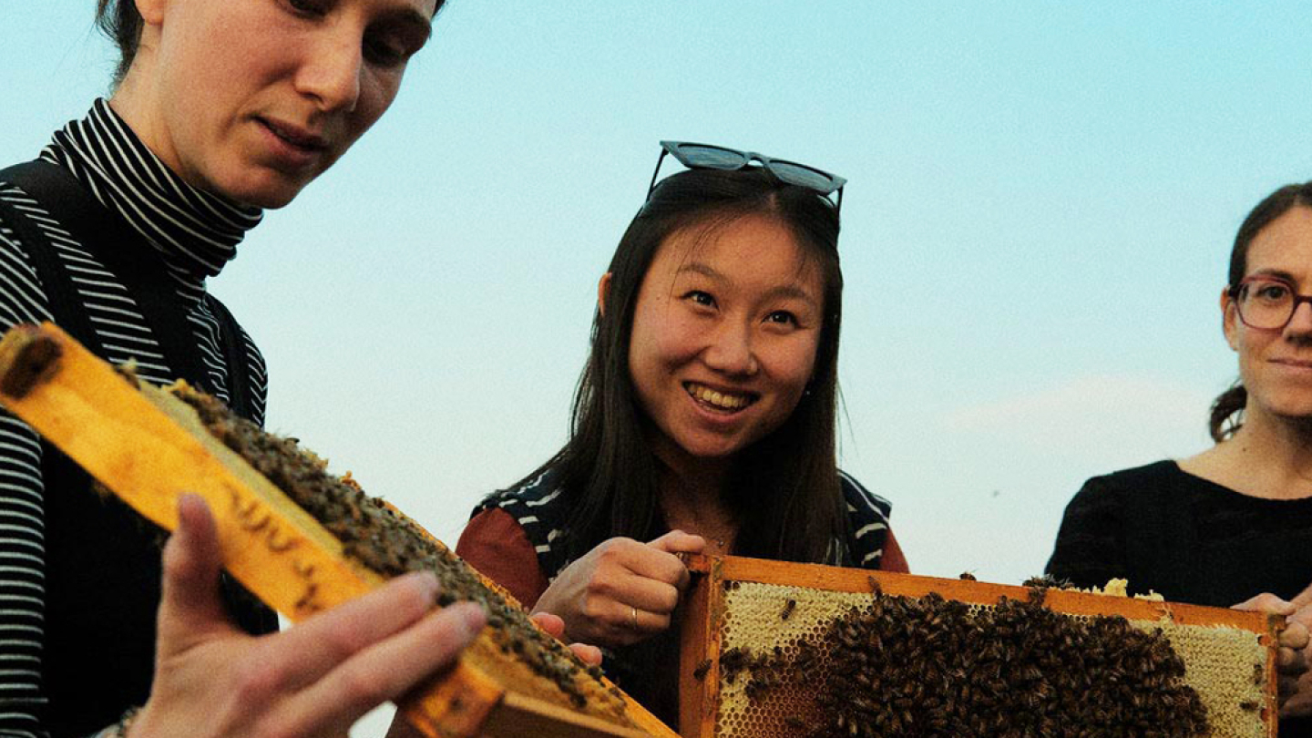NEUF at the Roundtable: Biodiversity and the Built Environment