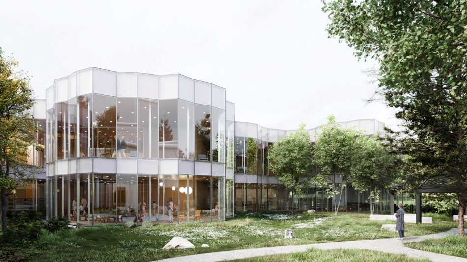 Winning the Guy-Sanche Library Competition